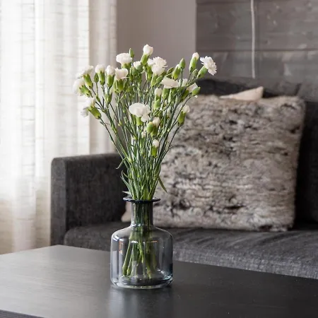 Apartman Polar Charm F By In Lapland *